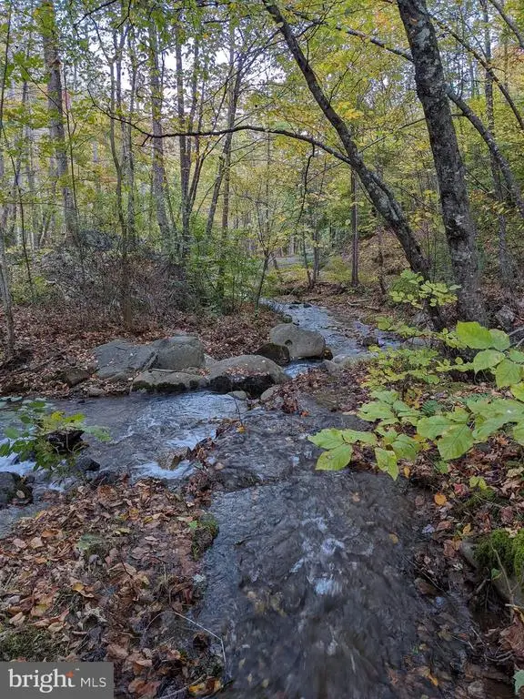 Perry Lane, Lovingston, VA 22949 - #3