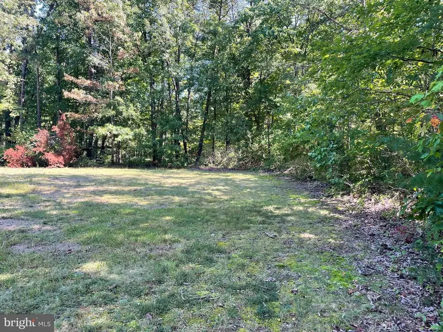 20296 Constitution Hwy, Orange, VA 22960 - Image #2