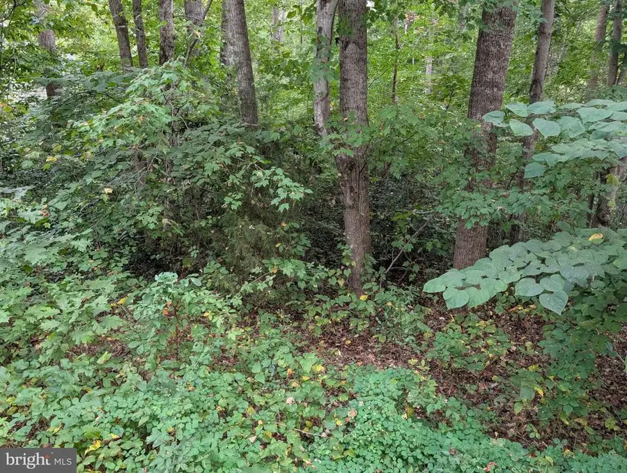 203 Battlefield Rd, Locust Grove, VA 22508 - #3