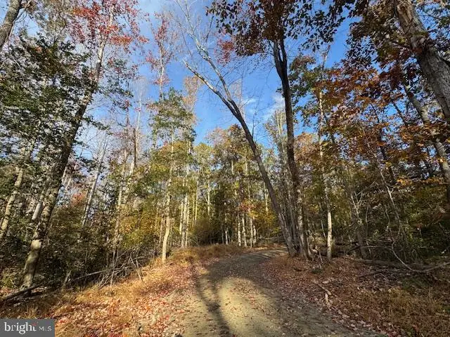 31078 Old Office Rd Lot 1, Locust Grove, VA 22508 - #2