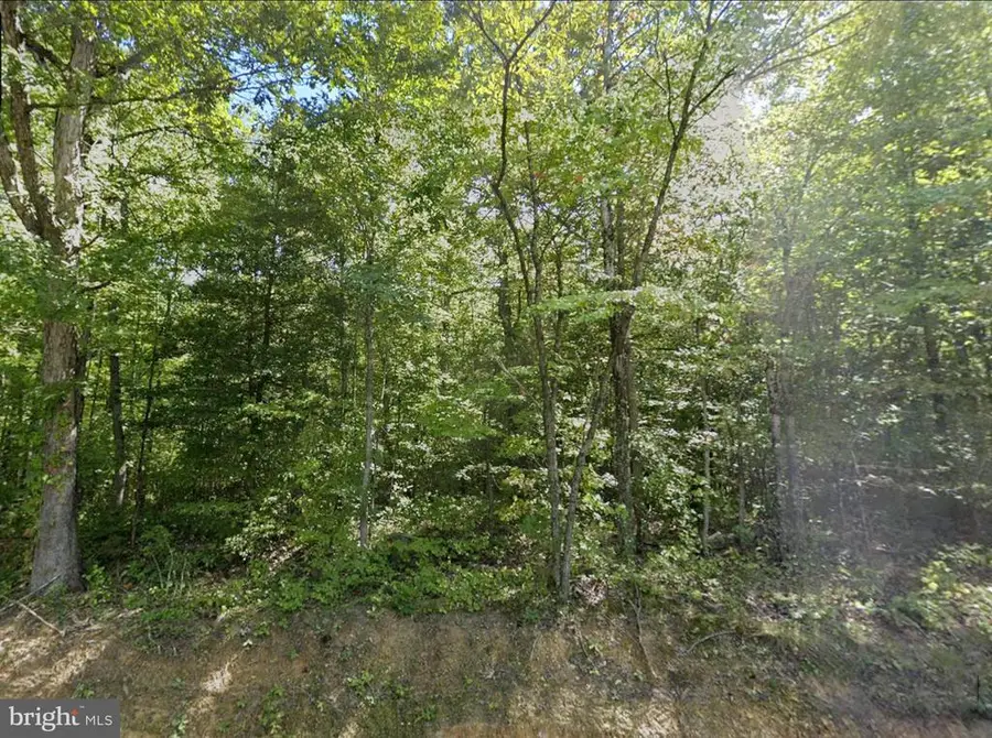 0 Fieldstone Ln, Rhoadesville, VA 22542 - #2