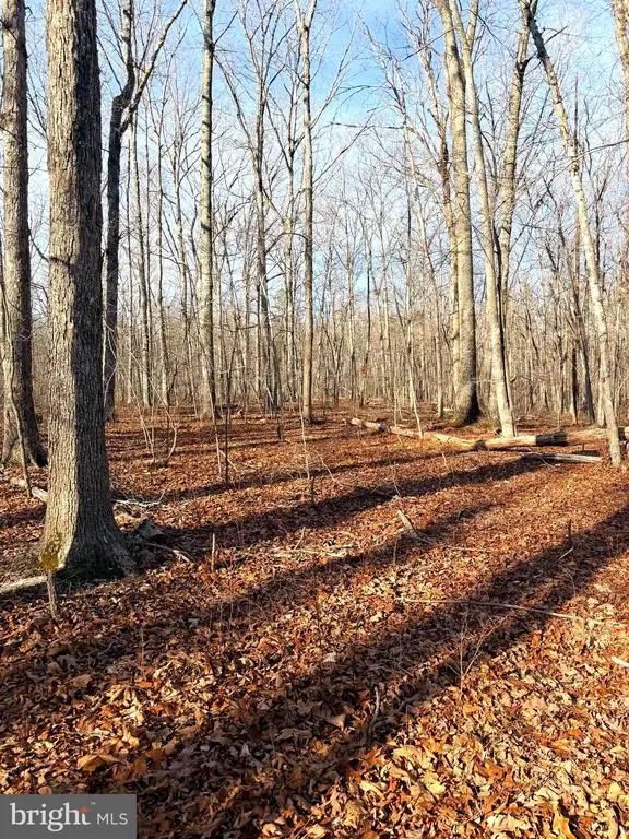 R/w Off Justice Dr, Orange, VA 22960 - #2