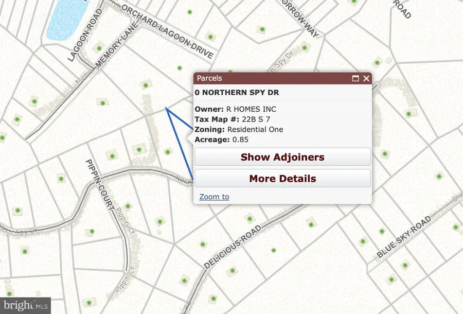 Woodside Dr, Rileyville, VA 22650 - Image #3