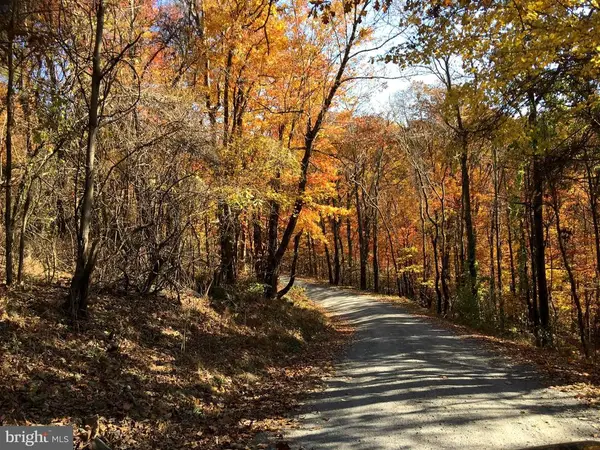 Lot D45-49, Stanley, VA 22851