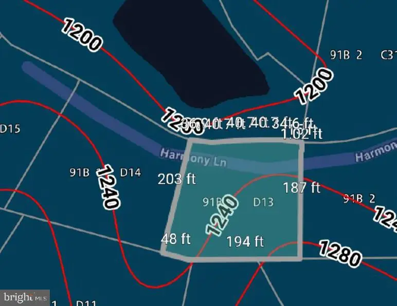 Harmony Lane, Stanley, VA 22851 - #2