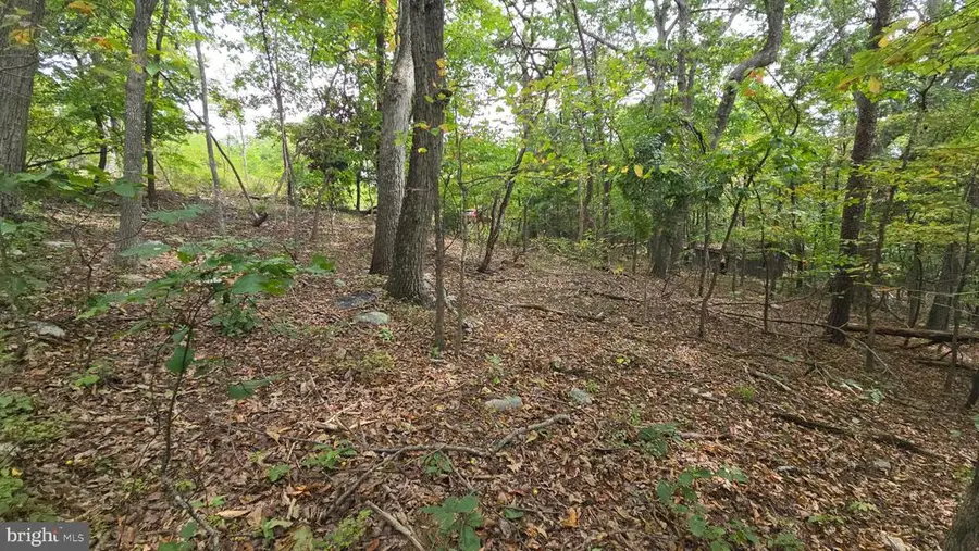 Long View Dr, Luray, VA 22835 - Image #3