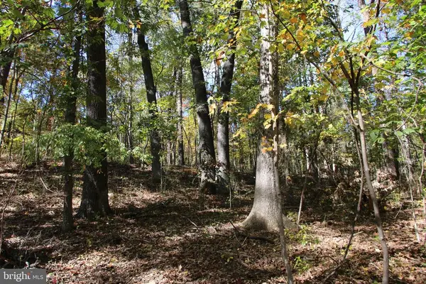 River View Pl, Shenandoah, VA 22849