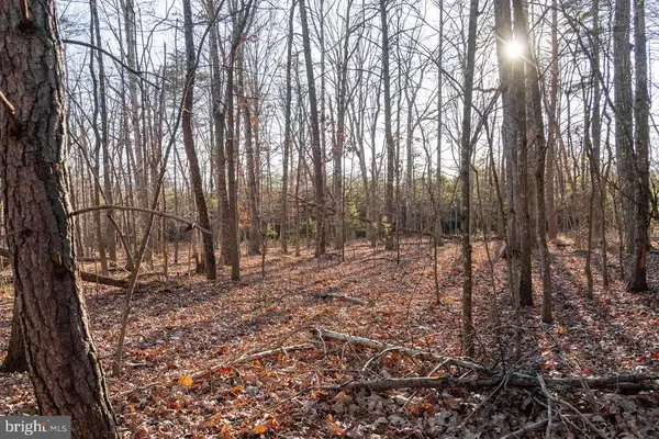 0 Woodland Dr, Luray, VA 22835