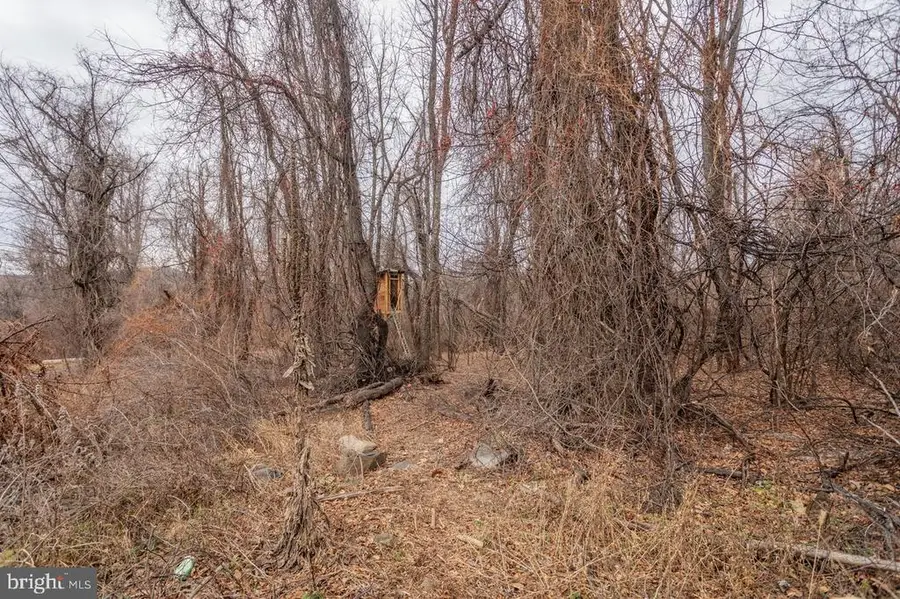 0 Short Cut Rd, Stanley, VA 22851 - #3