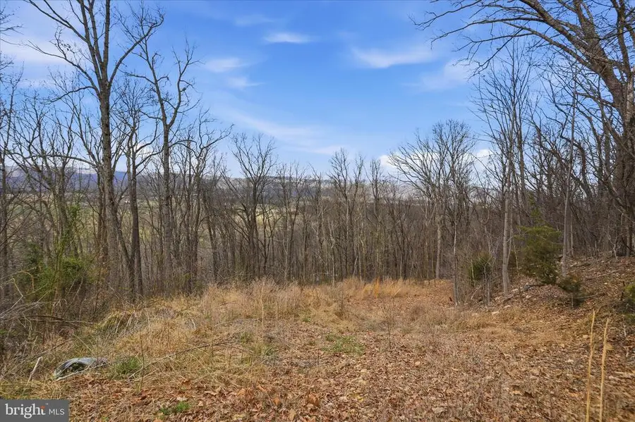 509 River View Pl, Shenandoah, VA 22849 - #2