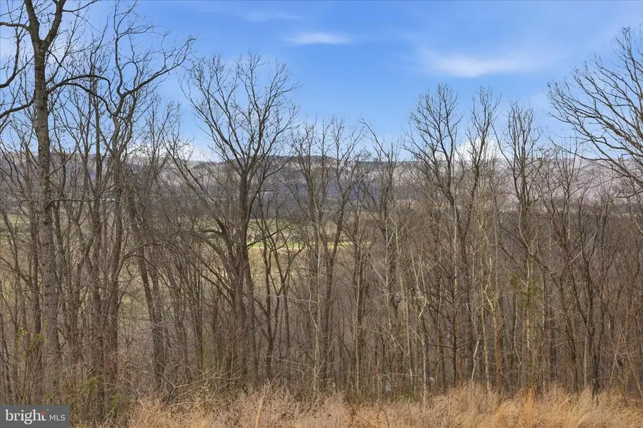 509 River View Pl, Shenandoah, VA 22849 - #3