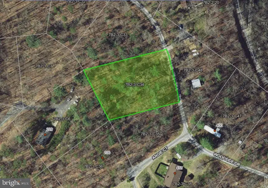Woodside Dr., Rileyville, VA 22650 - #1