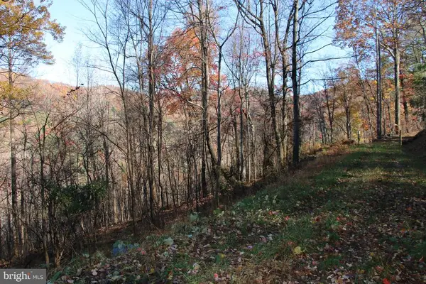 0 Overlook Mountain Rd, Elkton, VA 22827