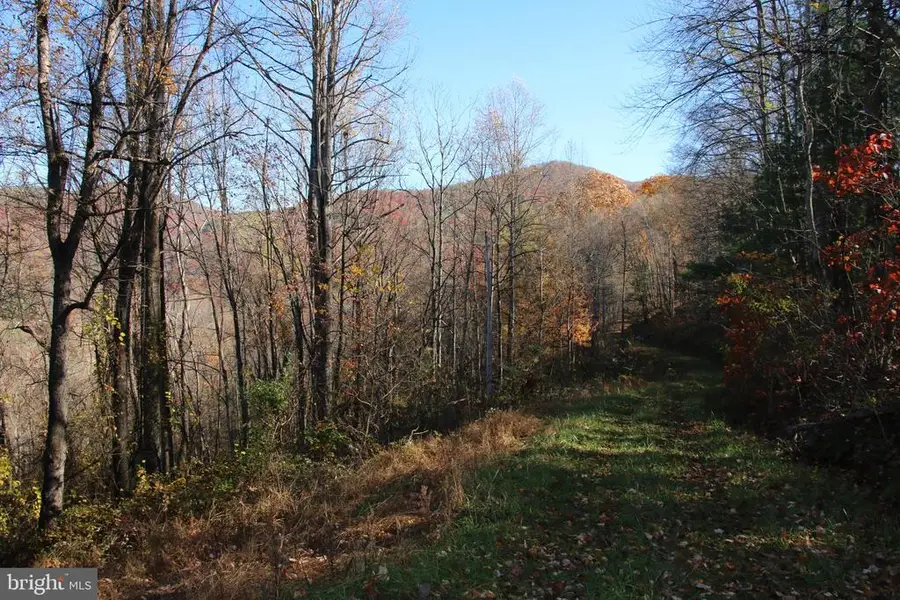 0 Overlook Mountain Rd, Elkton, VA 22827 - #3