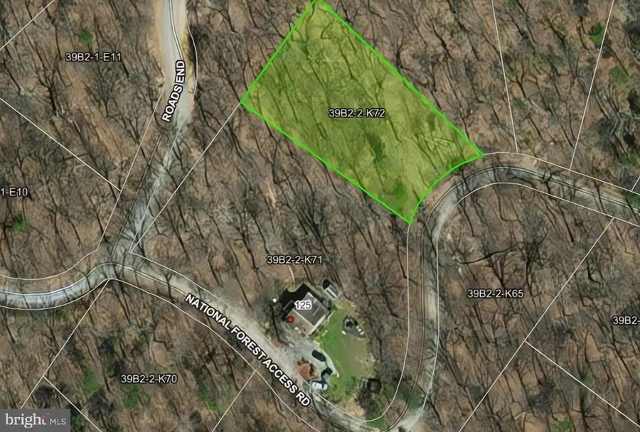 0 National Forest Access Rd, Luray, VA 22835 - #2