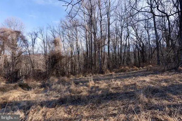 Overlook Mountain Rd, Elkton, VA 22827