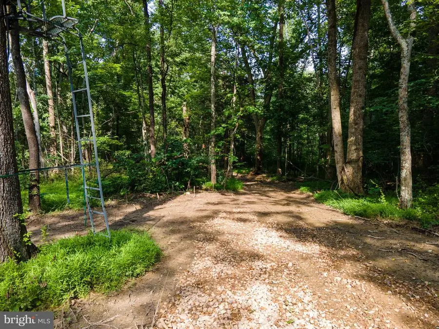 Us Hwy 340 S, Stanley, VA 22851 - #2
