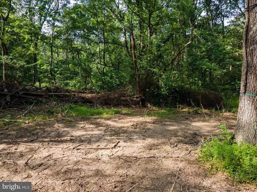 Us Hwy 340 S, Stanley, VA 22851 - #3