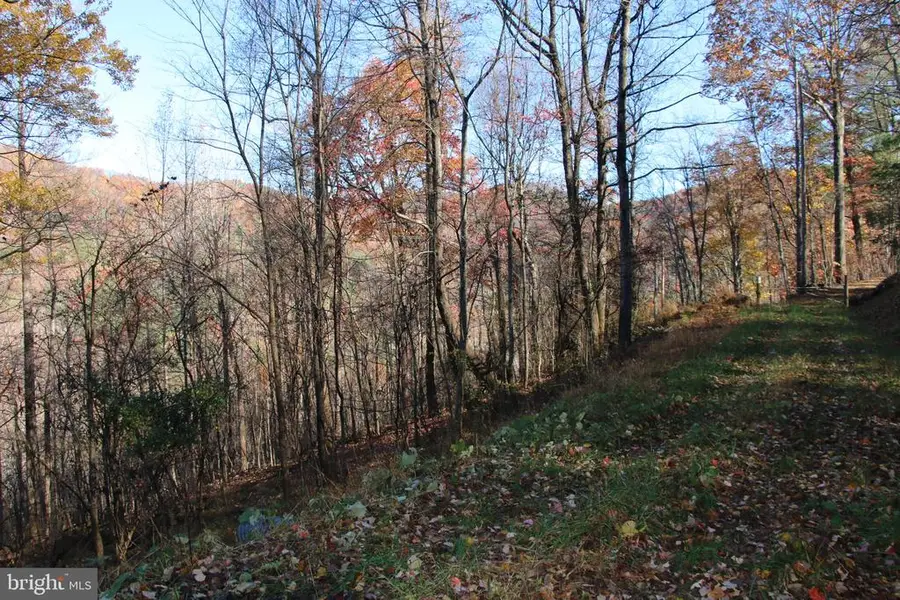 00 Overlook Mountain Rd, Elkton, VA 22827 - #2