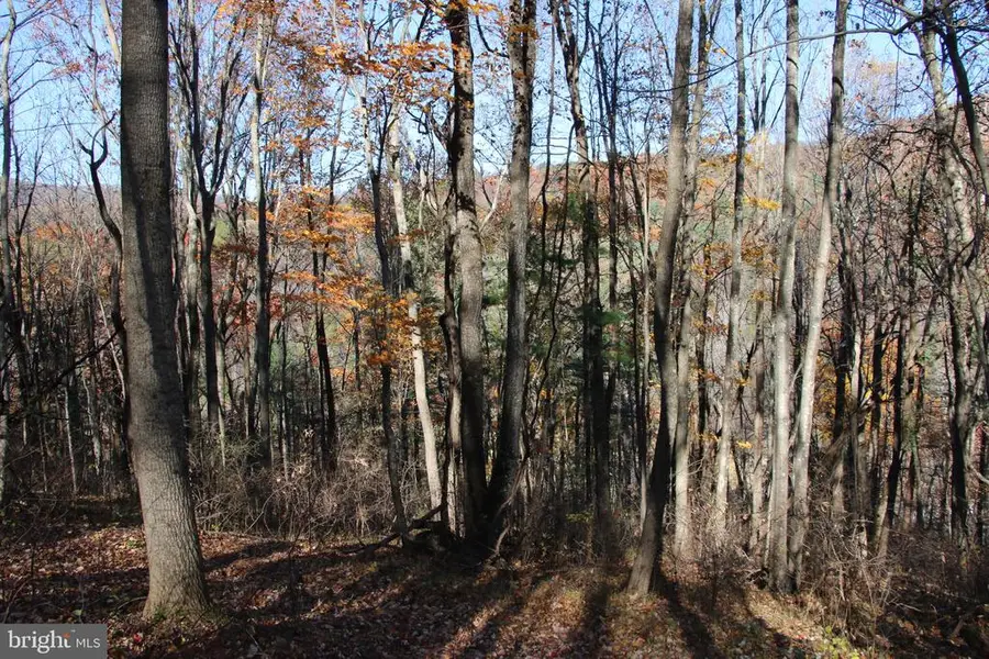 00 Overlook Mountain Rd, Elkton, VA 22827 - #3