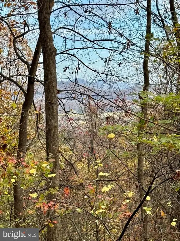 Woodlands Drive, Flint Hill, VA  - #3