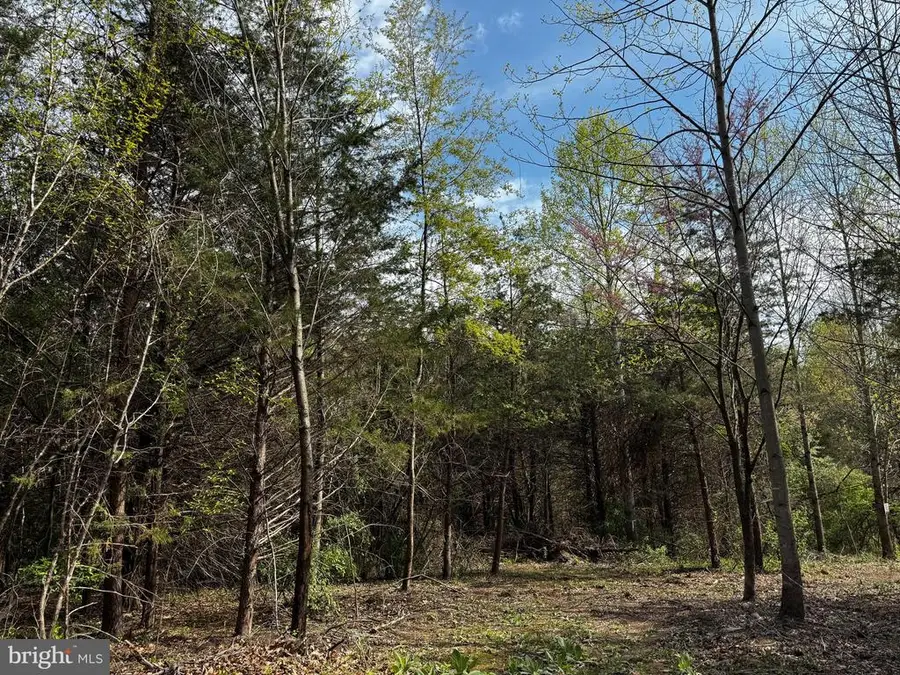 0 Castleton Ford, Castleton, VA 22716 - Image #2