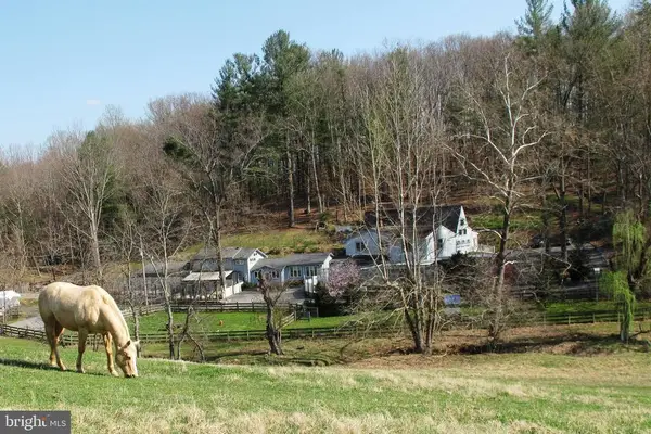 20 Victory Ln, Castleton, VA 22716