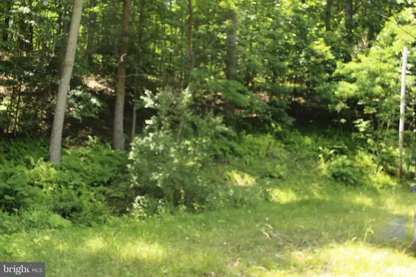 0 Nethers, Sperryville, VA 22740