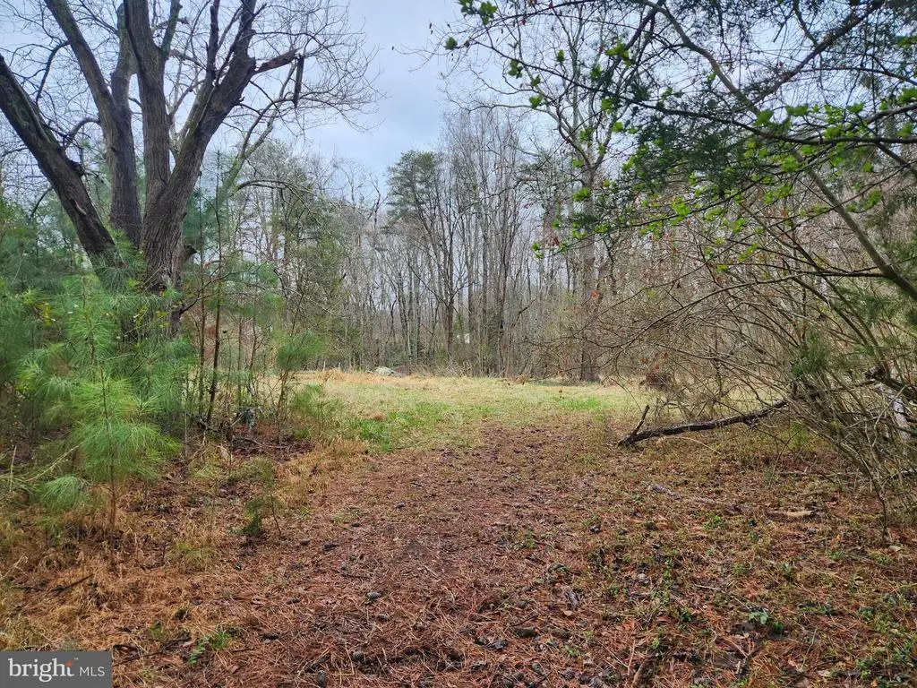 8228 Flippo Dr, Fredericksburg, VA 22408 - #1