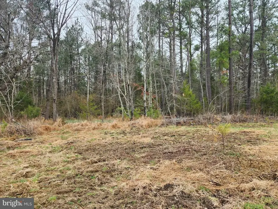 8228 Flippo Dr, Fredericksburg, VA 22408 - #3