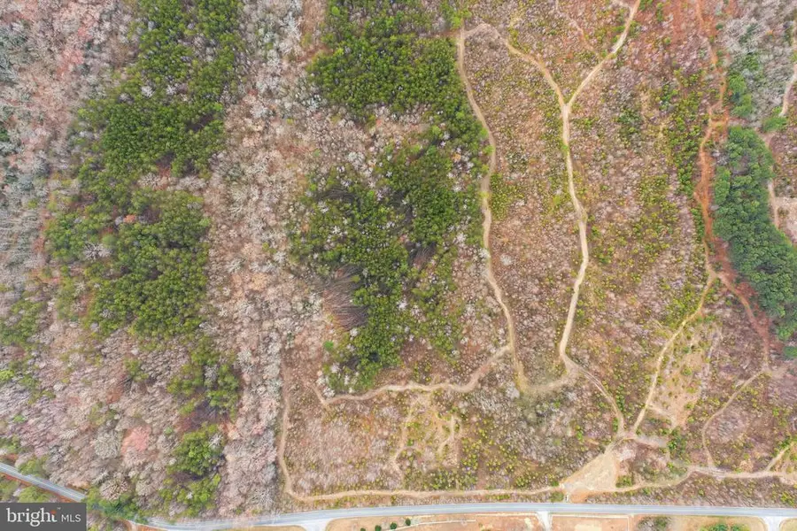 5239 Dickerson Rd, Partlow, VA 22534 - #3