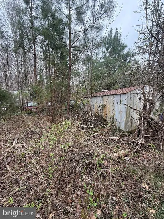 5300 Hams Ford Rd, Woodford, VA 22580 - #3