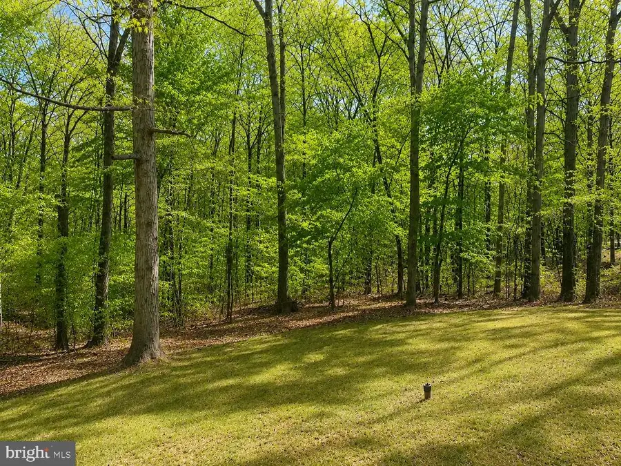 6009 Noranda Dr, Mineral, VA 23117 - #3