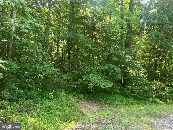 5517 Forest View Dr, Partlow, VA 22534