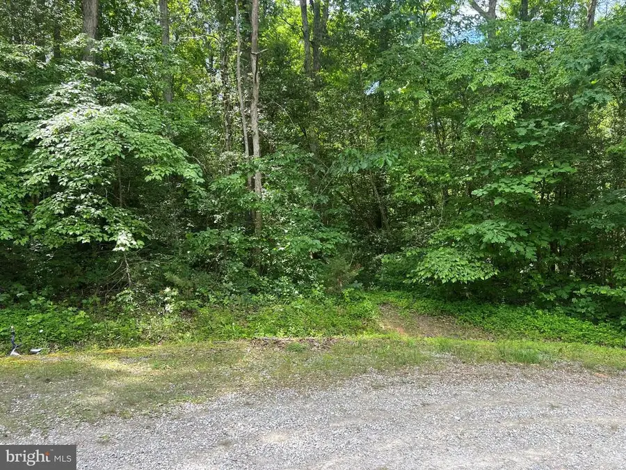 5517 Forest View Dr, Partlow, VA 22534 - #2