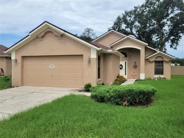 13837 Leroux Dr, Hudson, FL 34669