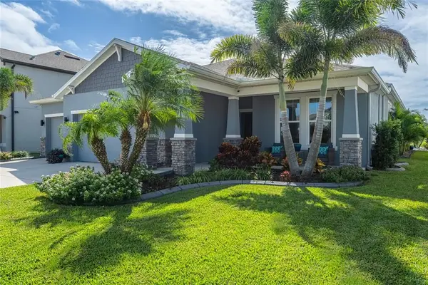 11809 Tetrafin Dr, Riverview, FL 33579