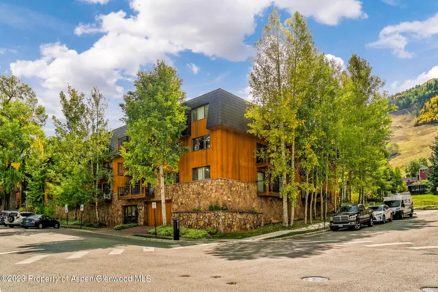 205 E Durant Avenue #3H, Aspen, CO 81611 - Image #3