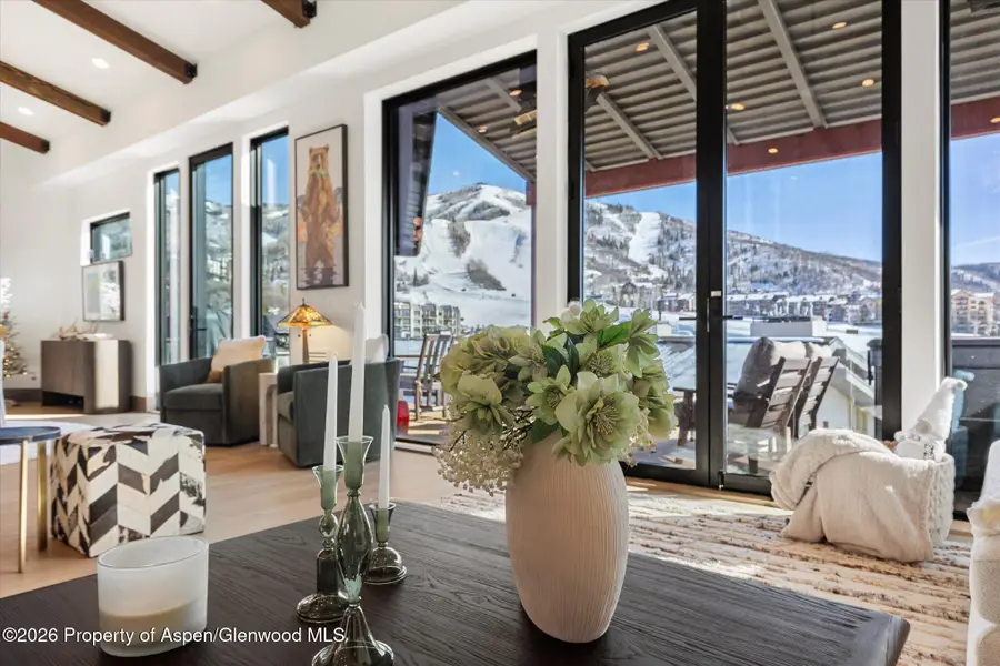 1855 Burgess Creek Road #6, Steamboat Springs, CO 80487 - Image #3