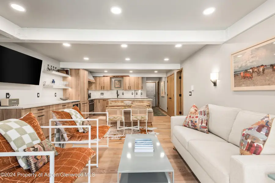 131 E Durant Avenue #208, Aspen, CO 81611 - Image #3