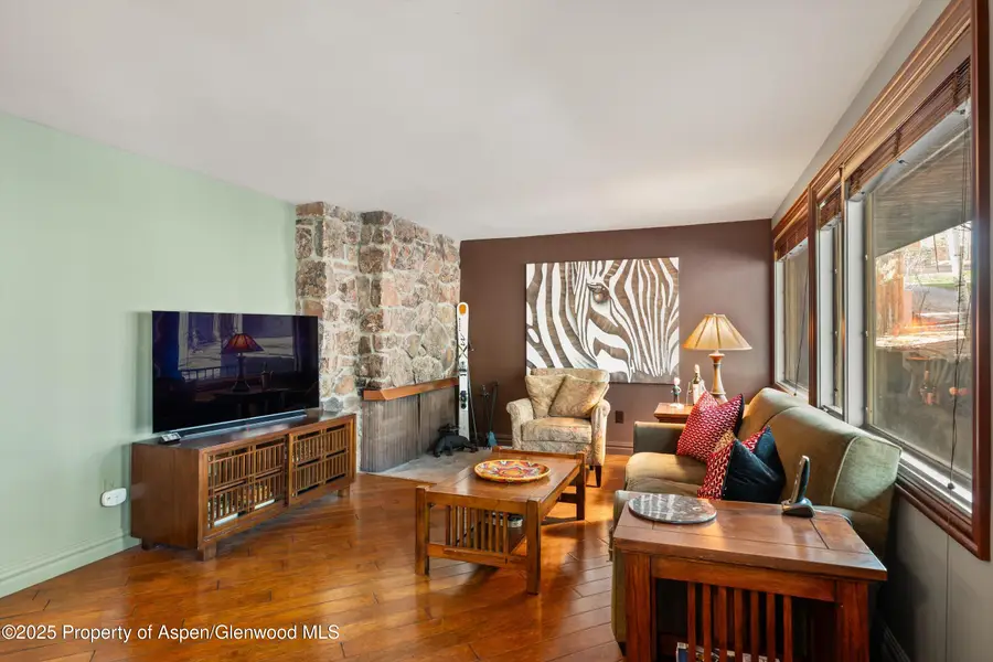 731 S Mill Street #2C, Aspen, CO 81611 - Image #2