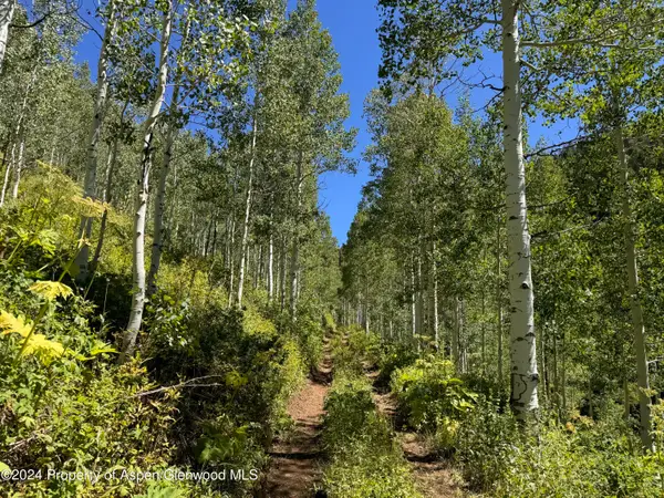 N/A F S 602 Road, Glenwood Springs, CO 81601