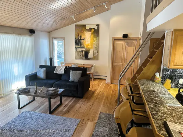 935 E Hopkins #12, Aspen, CO 81611