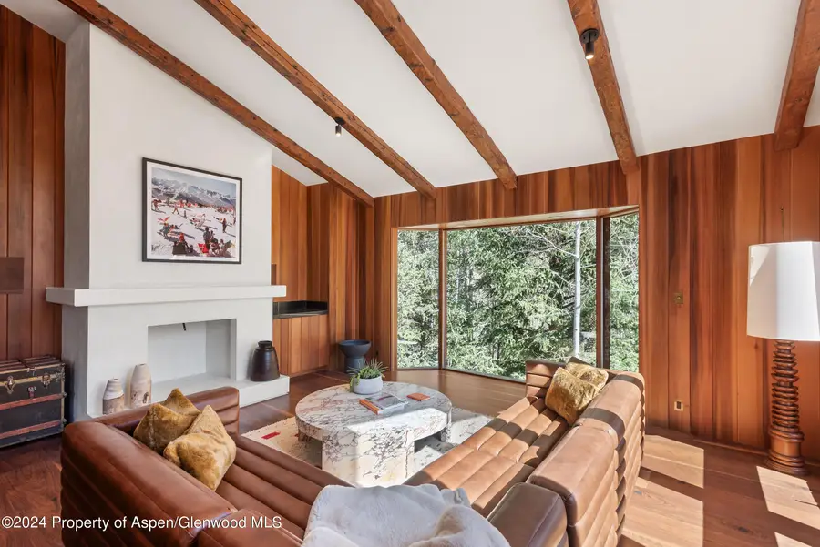 9888 Castle Creek Road, Aspen, CO 81611 - #3