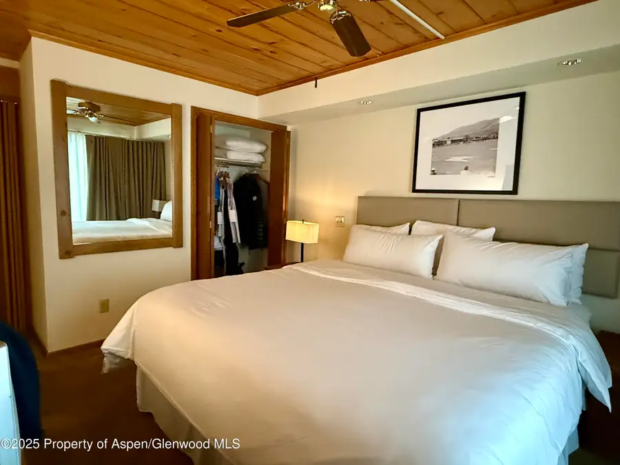 301 E Hyman Avenue #205 (Wks 21,22,38), Aspen, CO 81611 - Image #3