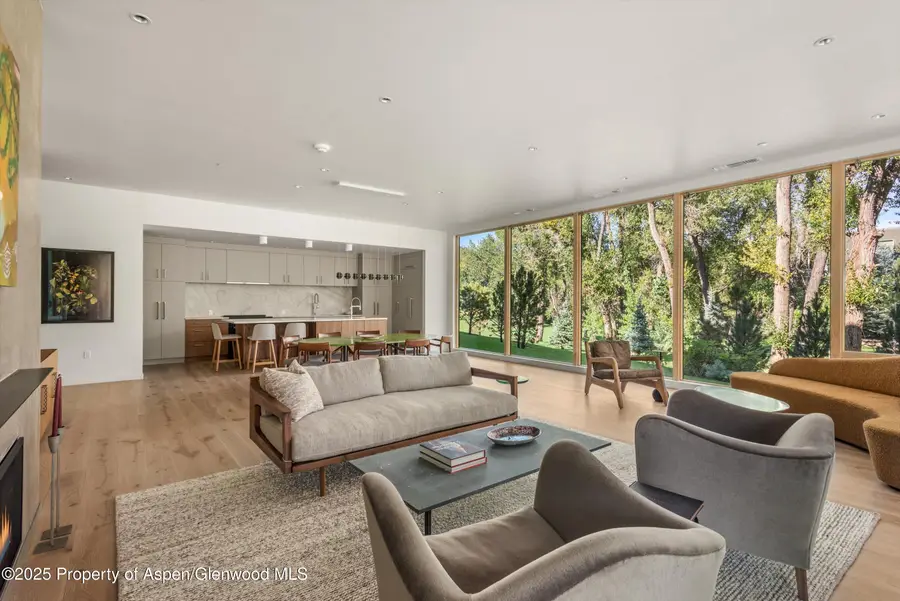 103 Willow Road #207, Basalt, CO 81621 - Image #3