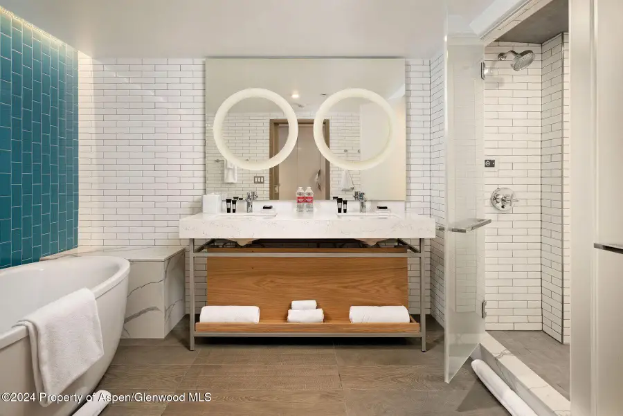 550 S Spring Street, Aspen, CO 81611 - Image #3