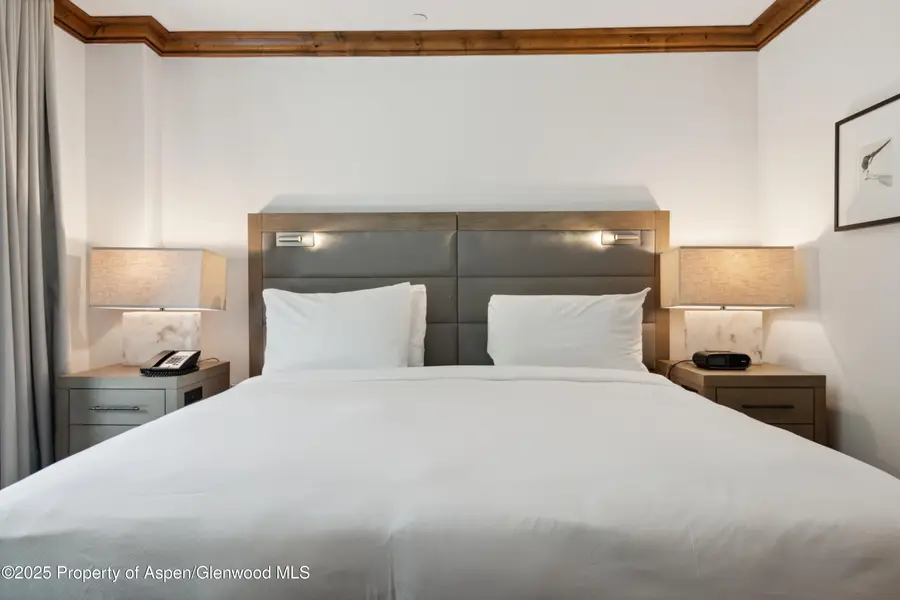 415 E Dean Street #Unit 44C - WK 11, Aspen, CO 81611 - Image #3