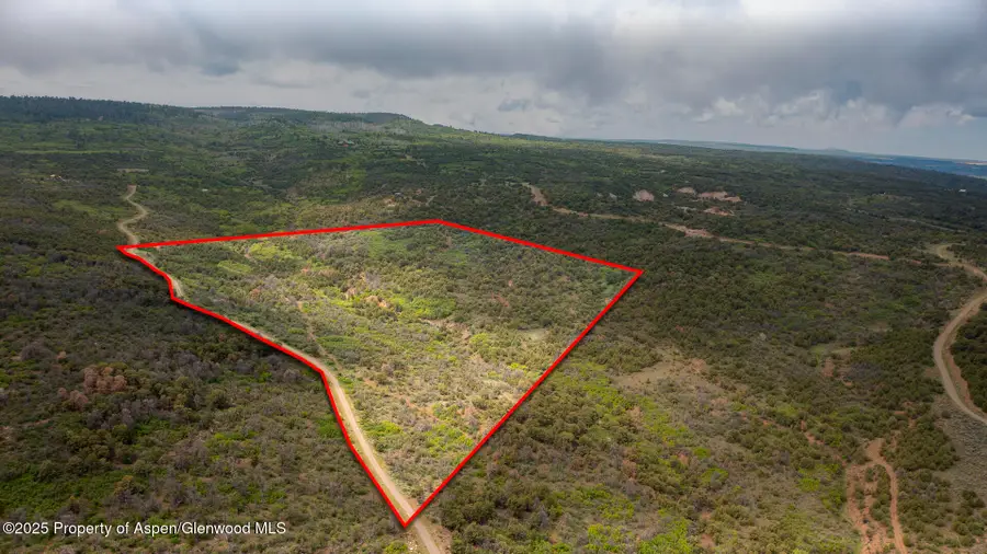 18973 Elk Reserve Road, Glade Park, CO 81523 - Image #3