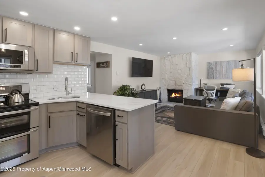 940 Waters Avenue #201, Aspen, CO 81612 - Image #3